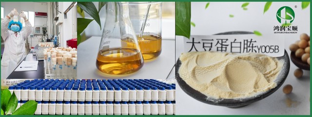 鴻潤寶順大豆蛋白胨 一款高效保健食品的全面解讀